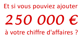 et si vous pouviez ajouter 250 000  a votre chiffre d'affaires ?